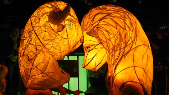 Aura lampionów w Bażantarni (galeria)