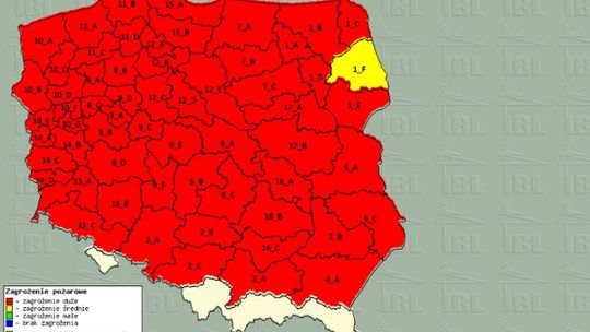 Lasy w całej Polsce z największym stopniem zagrożenia pożarowego!