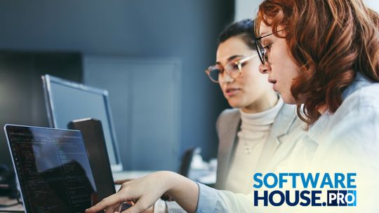 Software house a freelancer – co bardziej opłaca się w Polsce przy tworzeniu aplikacji webowych?