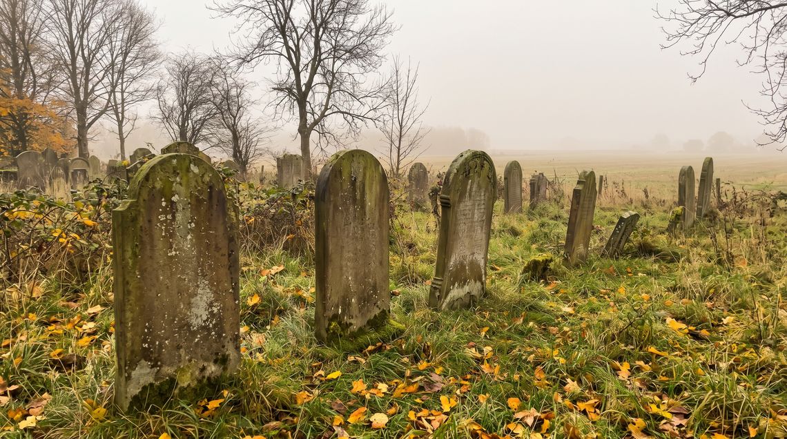Cmentarze menonickie na Żuławach: historia i gdzie je znaleźć
