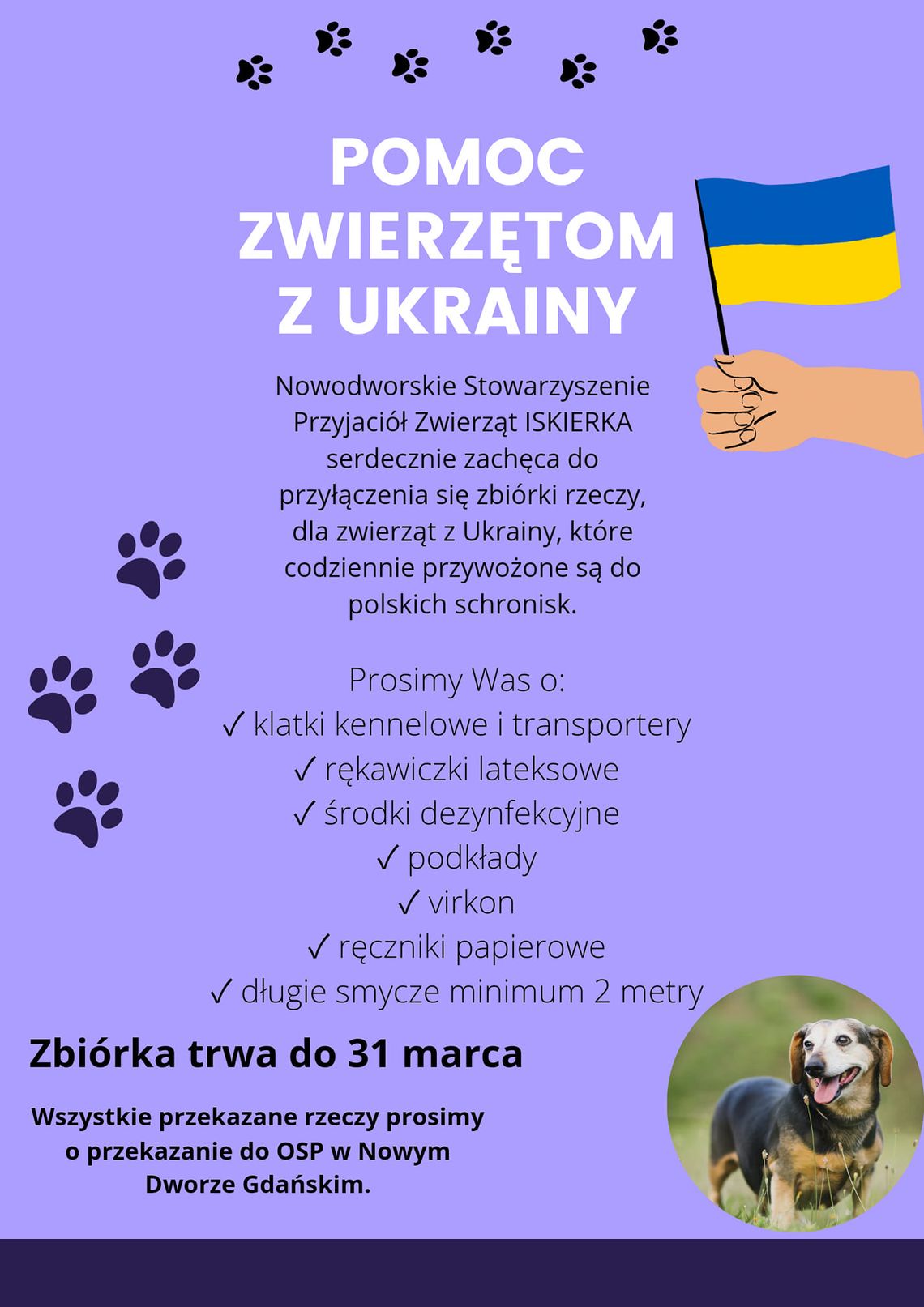 „Iskierka” pomaga zwierzętom z Ukrainy