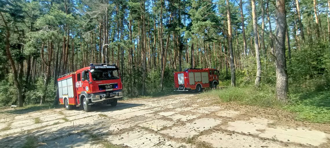 Pożar lasu w Piaskach [zdjęcia]