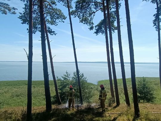 Pożar lasu w Piaskach